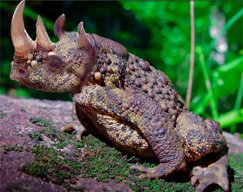 Imagem de análise técnica