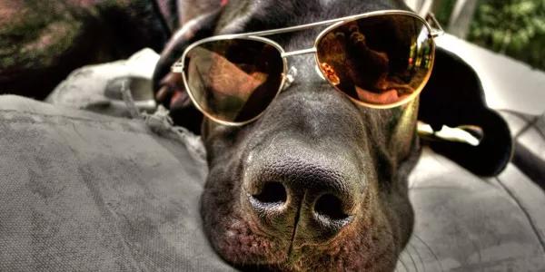 23 Fotos Mais Incríveis do Mundo