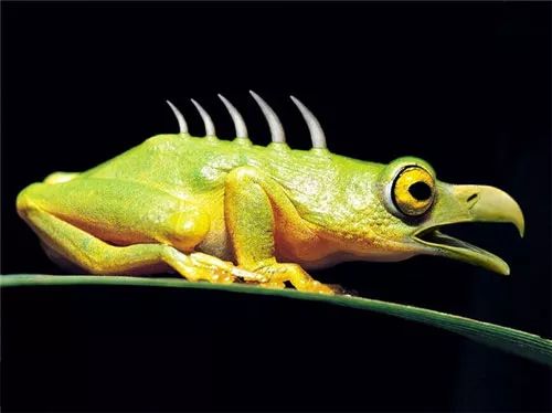 Imagem de análise técnica