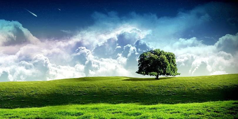 Por que Você Pode Precisar de Uma Câmera Fotográfica Digital Com 80 MegaPixels