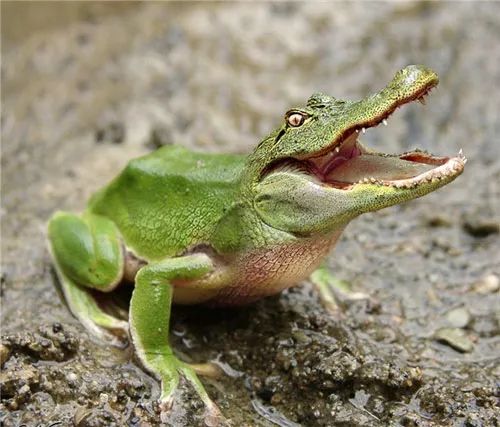 Imagem de análise técnica