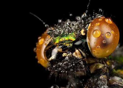 Imagem de análise técnica