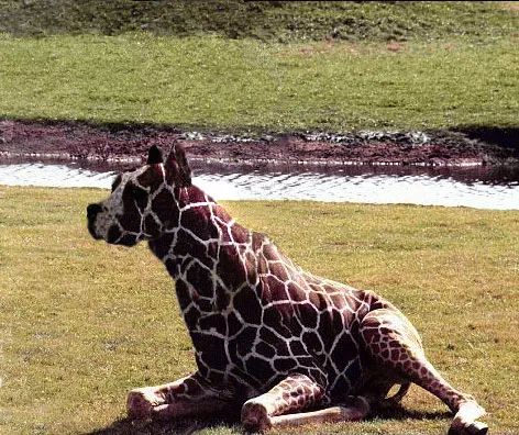 Imagem de análise técnica