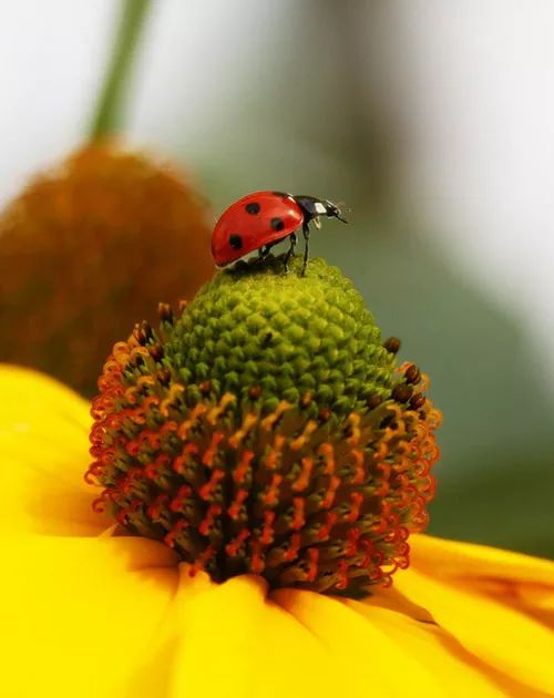 Imagem de análise técnica
