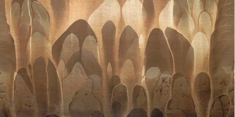 É Possível Fotografar sem usar uma Câmera?