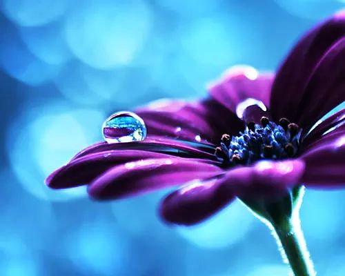 Imagem de análise técnica