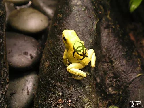 Imagem de análise técnica