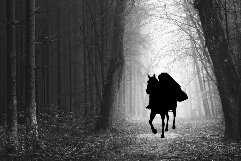 Blog post illustration: Headless Commerce doesn’t have to be scary