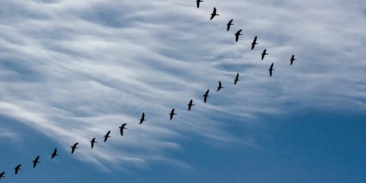 Ecommerce Migration: Is re-platforming worth it in 2023?
