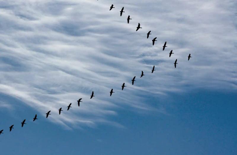 Blog post illustration: Ecommerce Migration: Is re-platforming worth it in 2023?