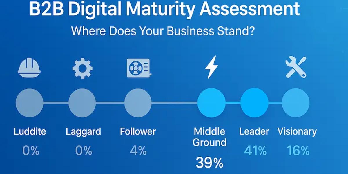 The B2B Digital Maturity Assessment - Where Does Your Business Really Stand?