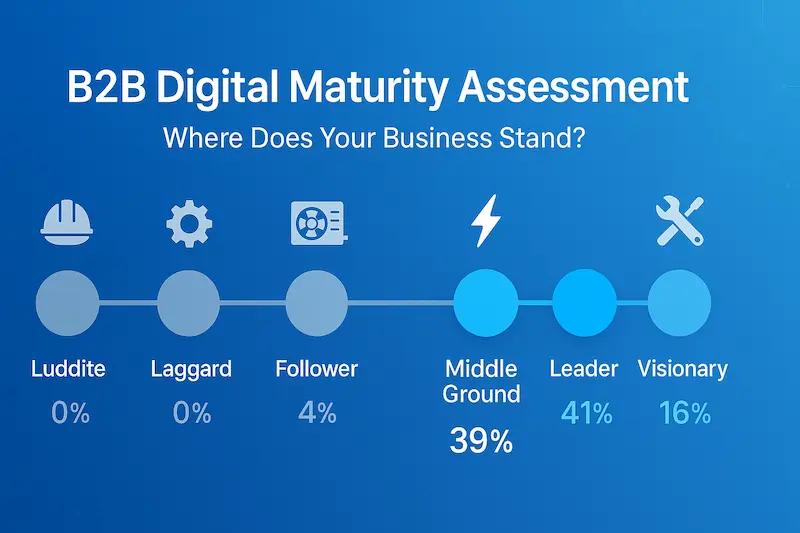 Blog post illustration: The B2B Digital Maturity Assessment - Where Does Your Business Really Stand?