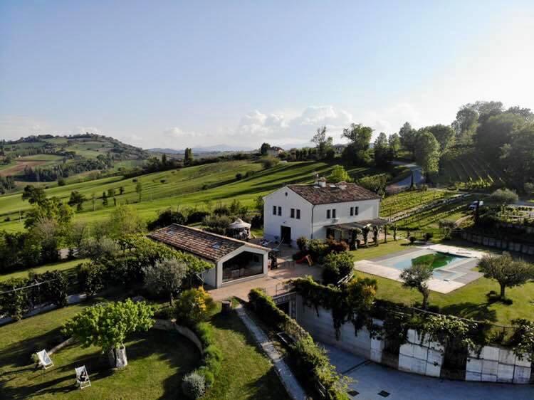 Degustazione in cantina — Terracruda