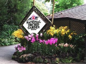 Private Tour: Singapore City Tour — Tour Journey: Civic District > Merlion Park > Thian Hock Keng Temple > Botanic Gardens > Little India 2