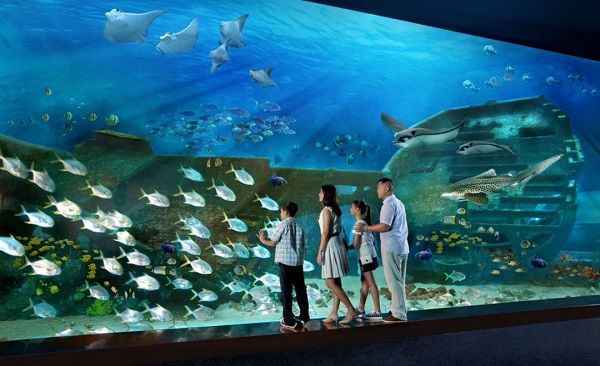 Private Tour: Sentosa Island Afternoon Tour (4 Hours)