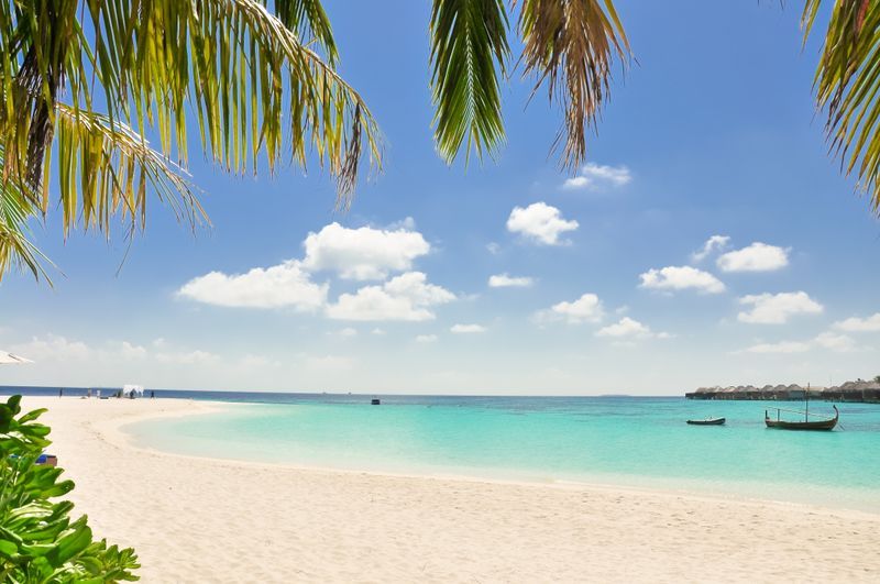 Free & Easy / Package Tours
