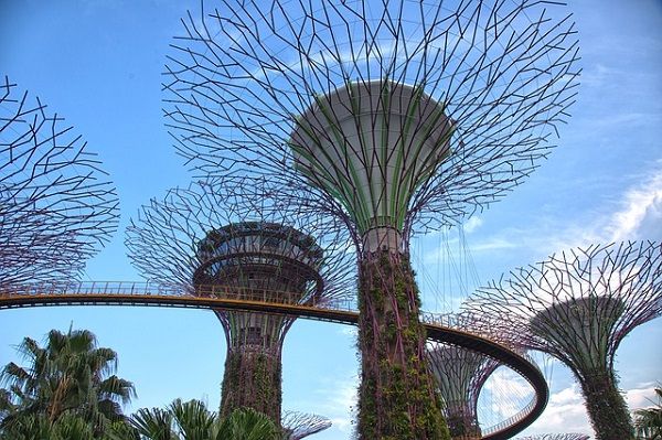 Private Tour: Gardens by the Bay with Lunch