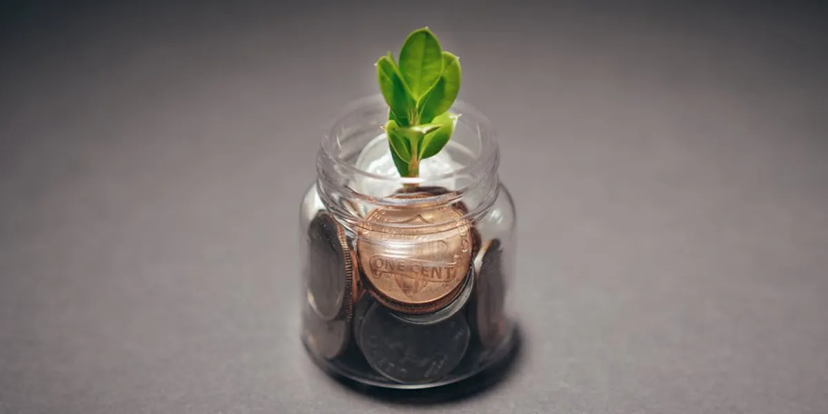 Revenue growth analysis: Sustainable vs artificial growth