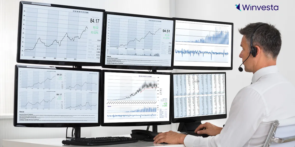 Birkenstock’s big step: How a sandal surge stole the spotlight on Wall Street