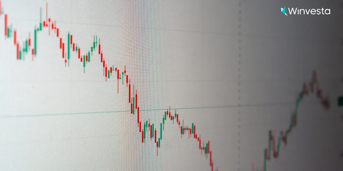 US Healthcare Stocks 2025 Outlook: Top Stocks & Market Insights | Winvesta
