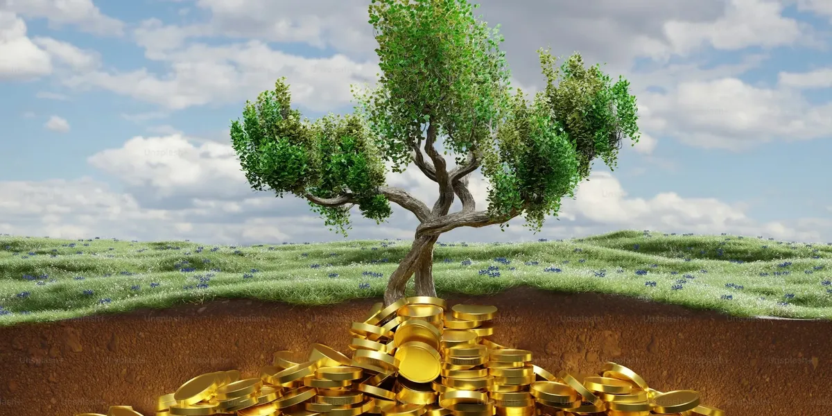 Book value growth: Tracking shareholder wealth creation