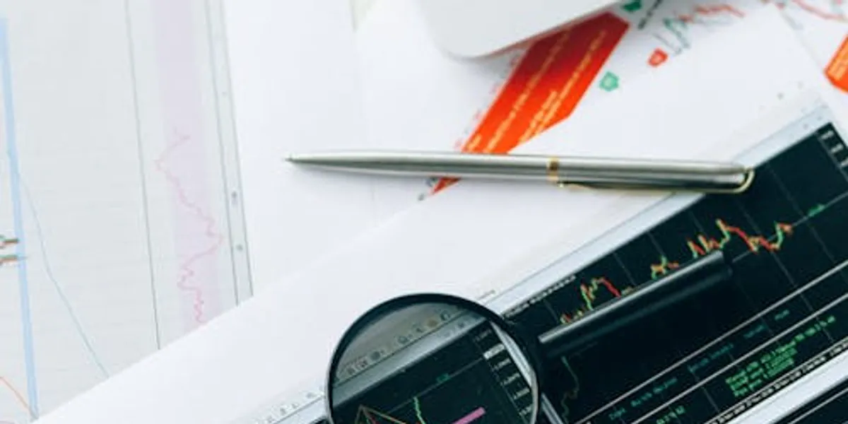 Case study: Fundamental analysis of a multibagger stock