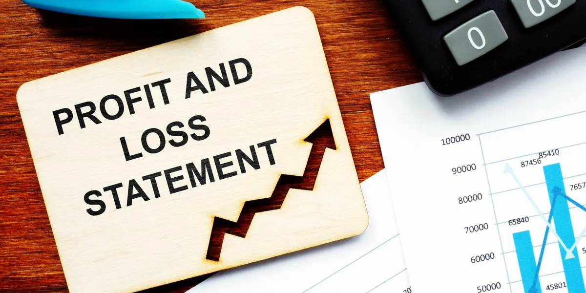Profit and loss statement (P&L)