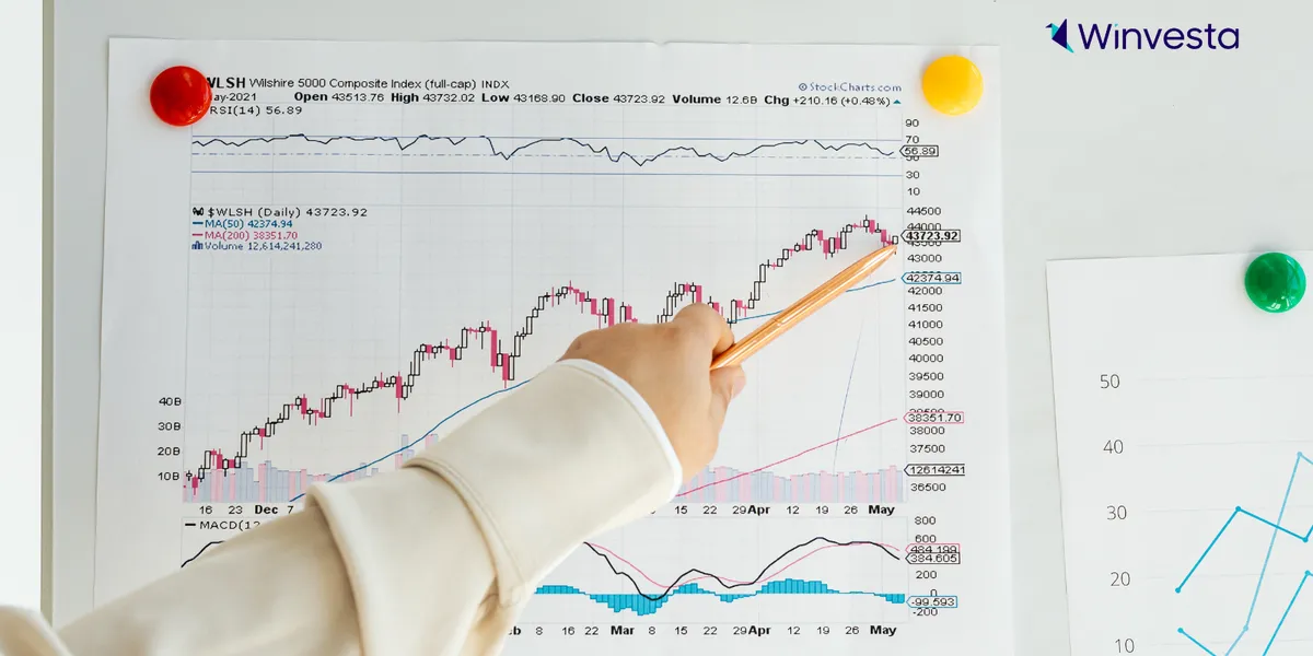 Wall Street faces the storm: Hopes and warnings ahead of thanksgiving