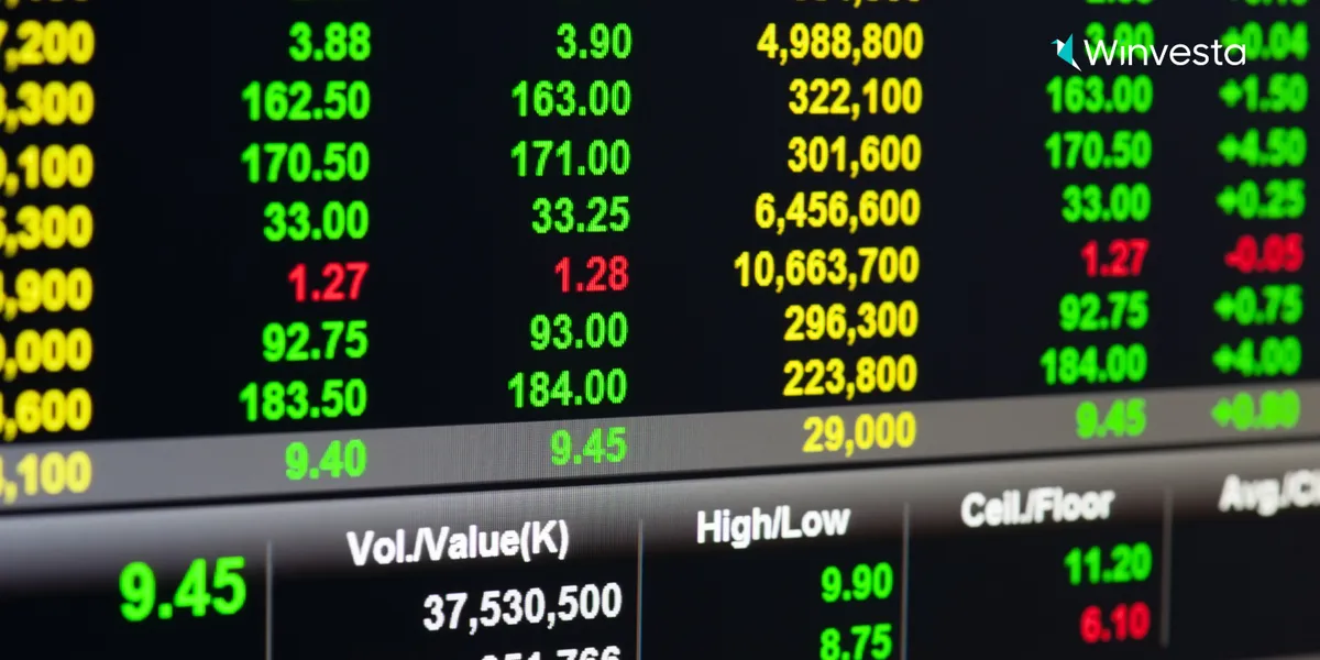 How America’s underdogs are winning big