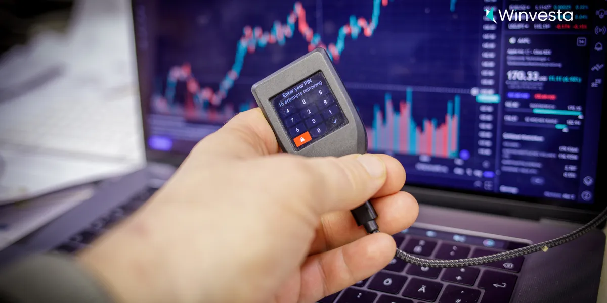 Bulls in full charge: How Wall Street stormed to new highs