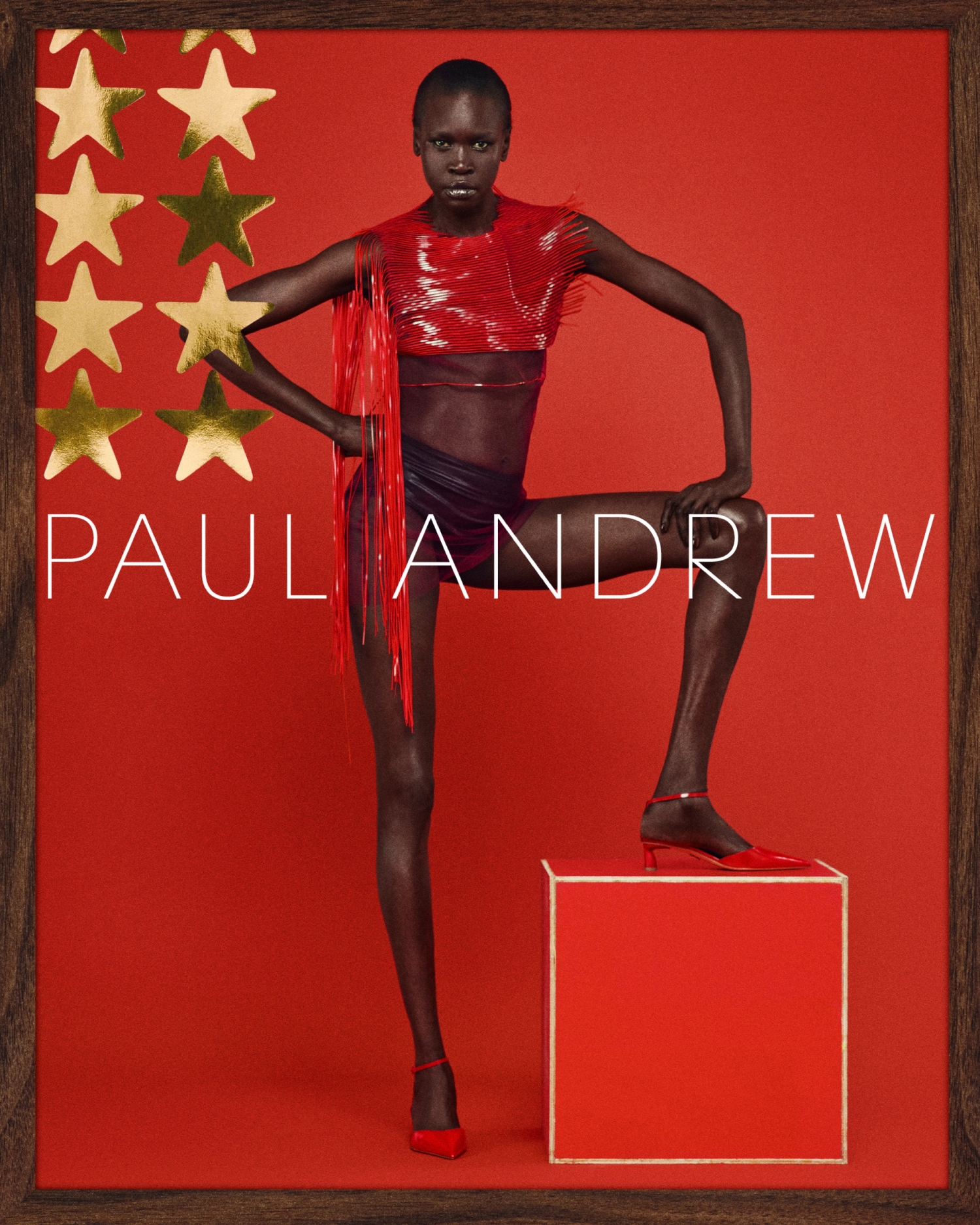 Paul Andrew