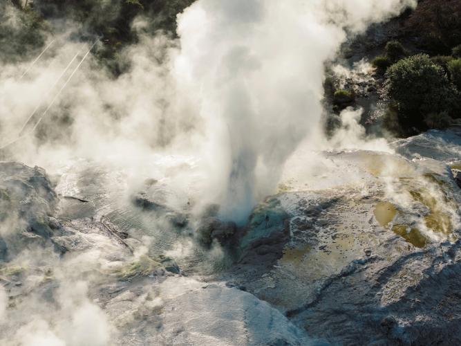 Steam rising from a geyser in Rotorua's geothermal landscape