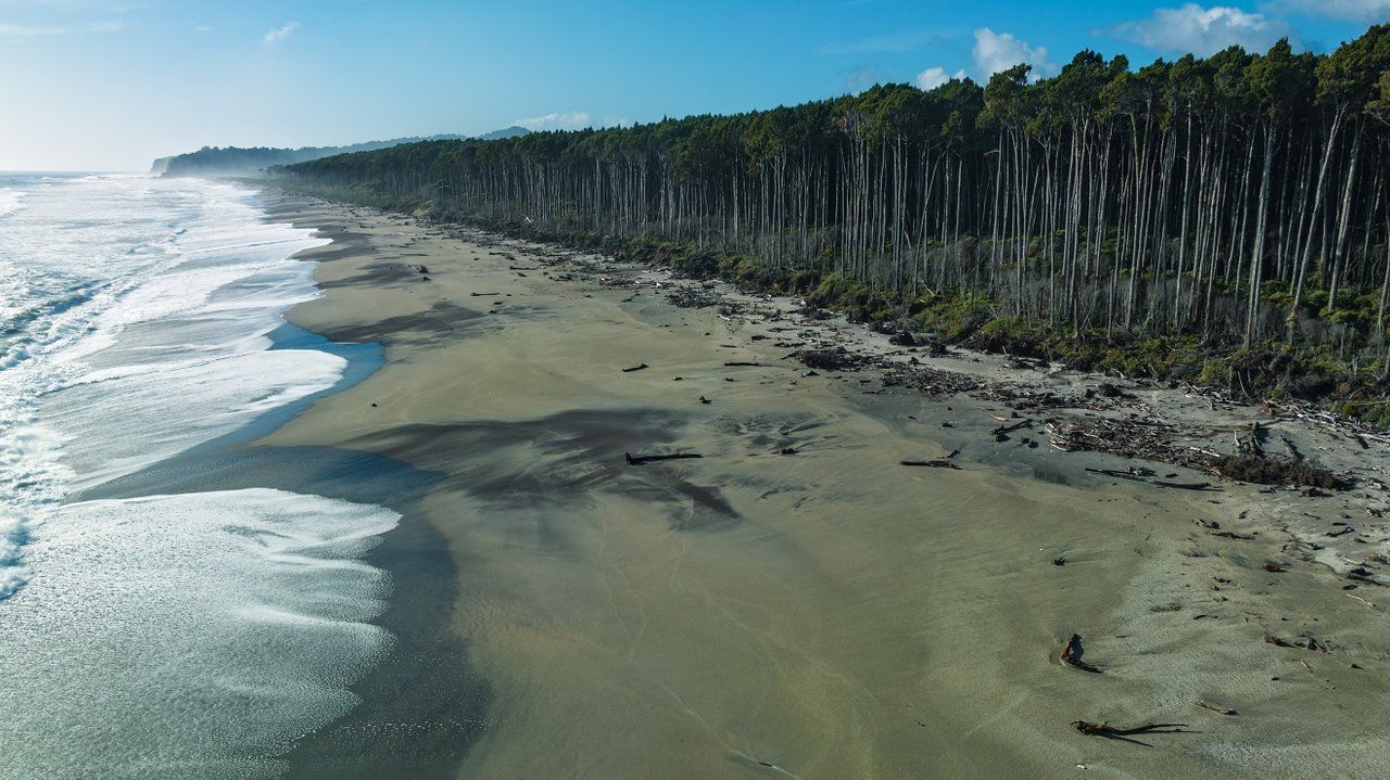 Driftwood beach at Bruce Bay on the West Coast