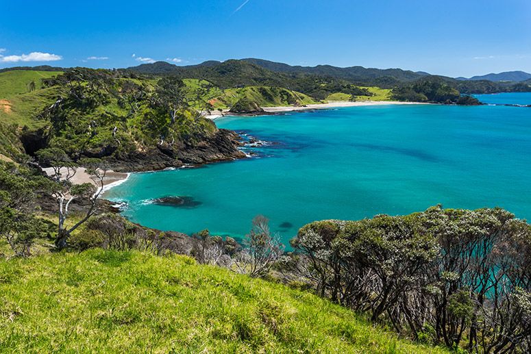 Coastal scenery in Northland, New Zealand