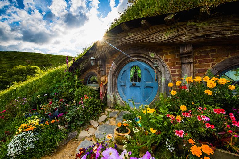 Hobbit holes and gardens at the Hobbiton Movie Set