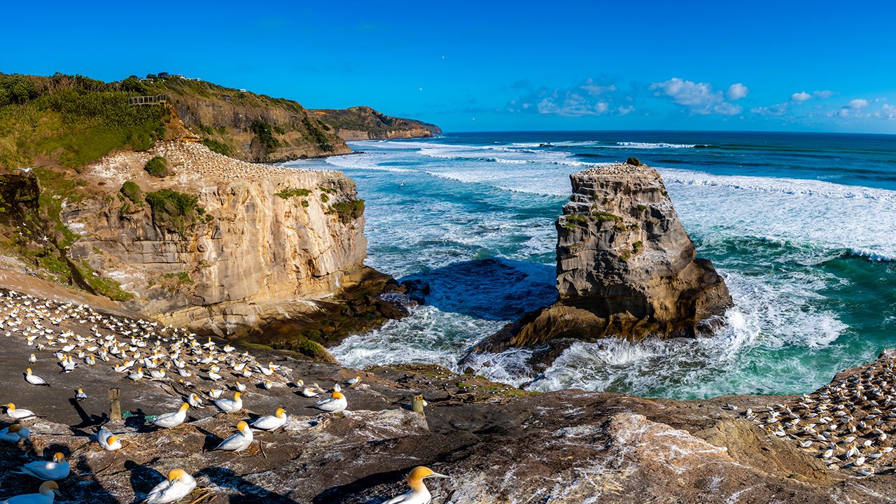 Black sand beach and surf on Auckland's wild west coast