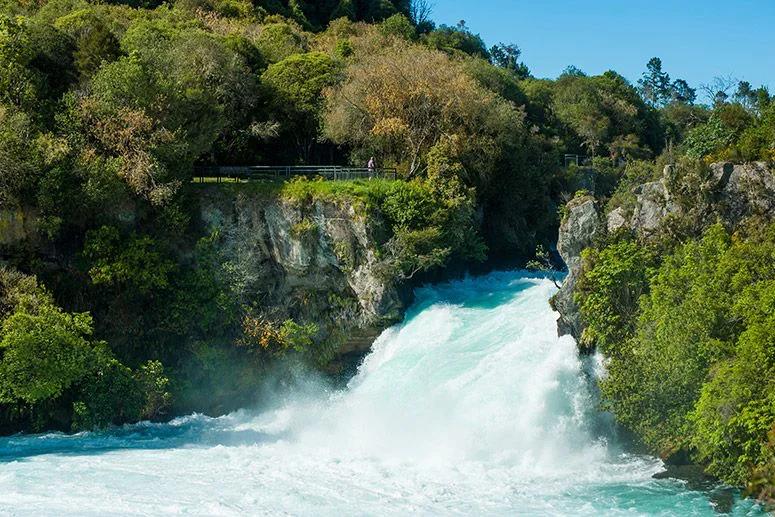 Taupo