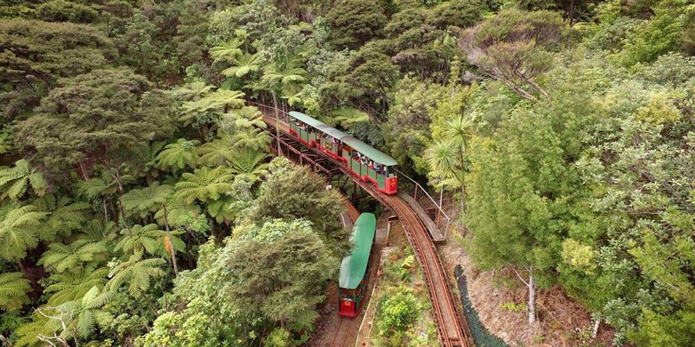 Railway Train in Driving Creek