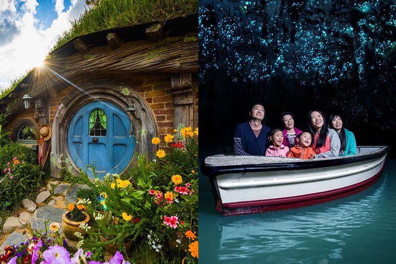 Highlights of the Hobbiton and Waitomo Caves tour