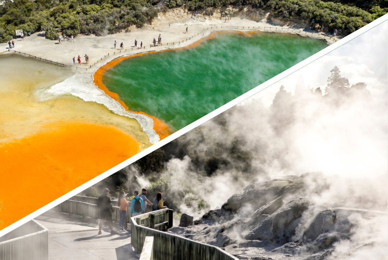 Highlights of the Rotorua tour with Wai-O-Tapu and Te Puia