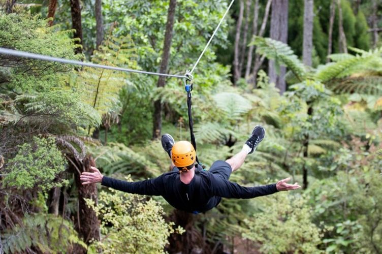 A man on a zipline in the Coromandel