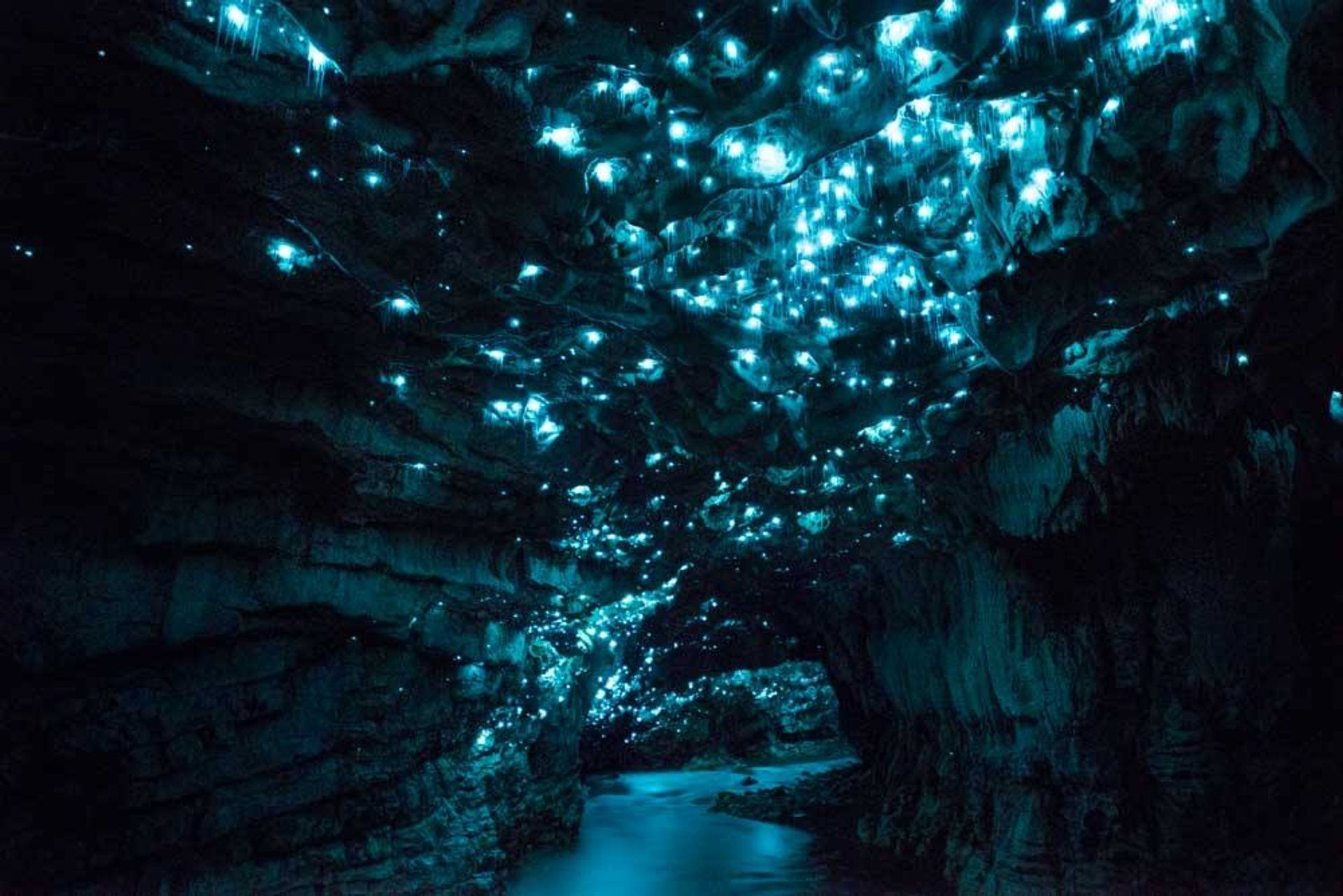 Waitomo Caves