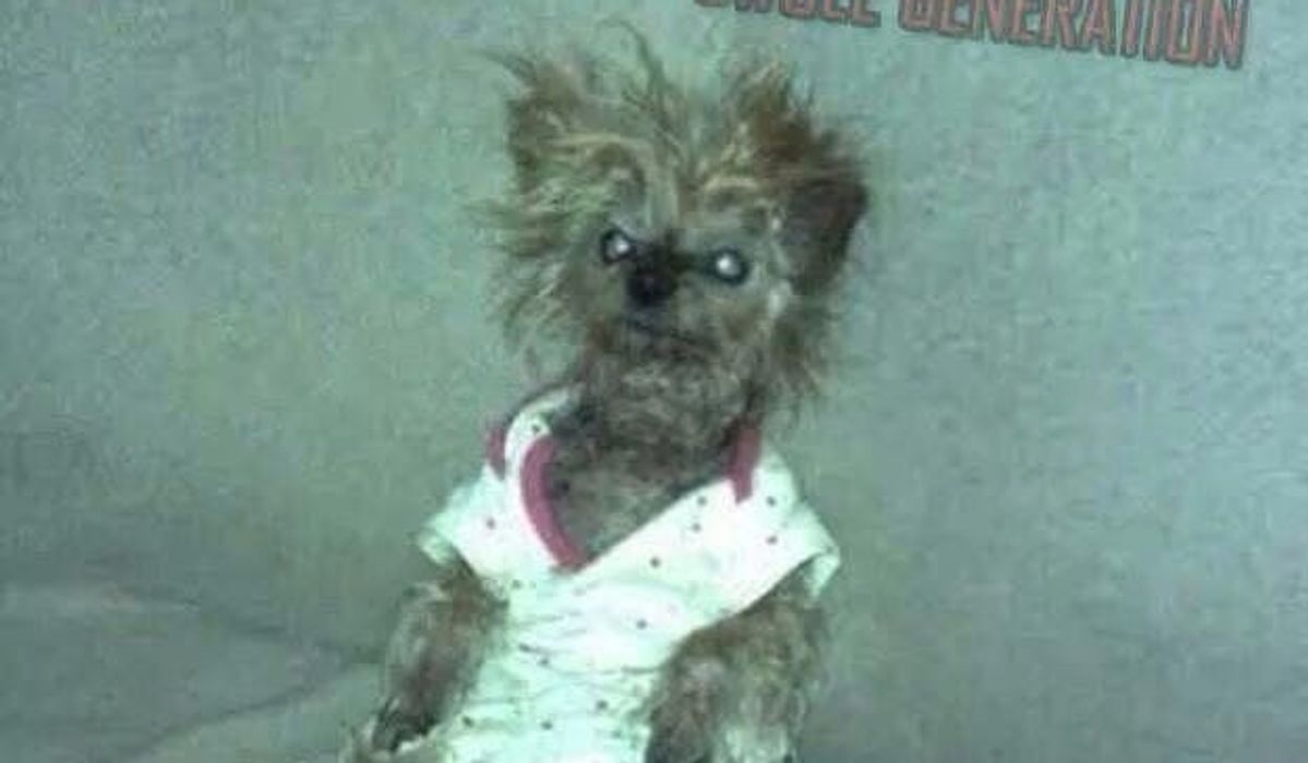 How to Get to the Gym When You Don't Feel Like It