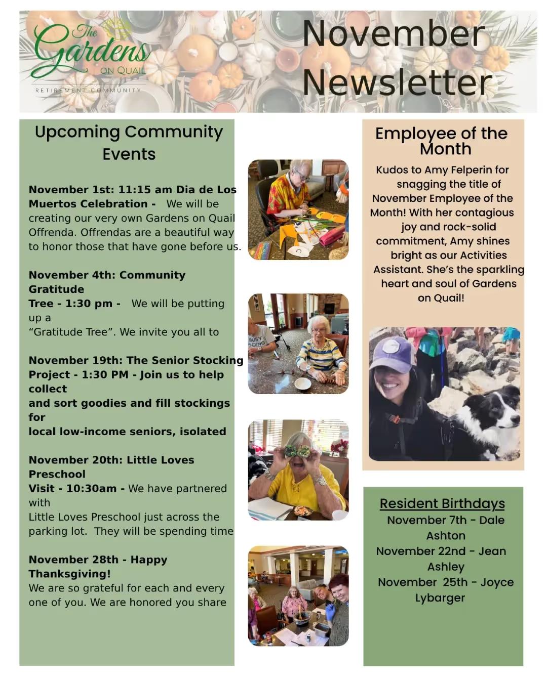 November 24 Newsletter