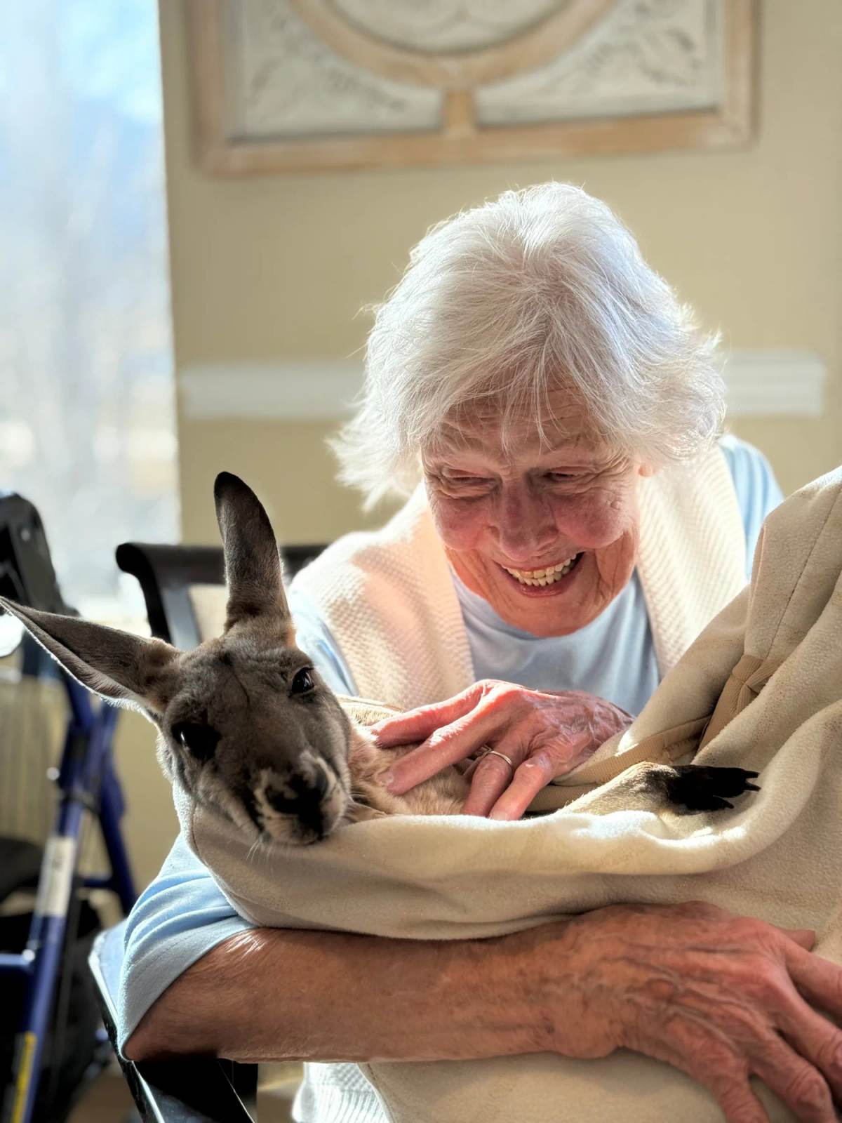 Golden Pond resident laughing while petting a baby kangaroo on her lap