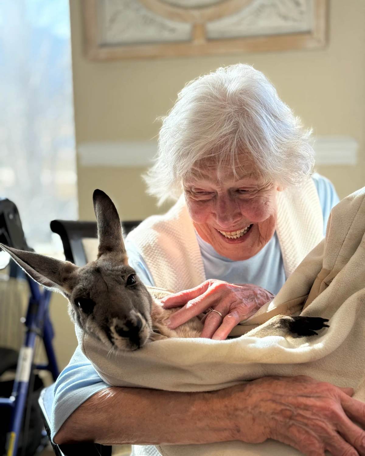 Golden Pond resident laughing while petting a baby kangaroo on her lap