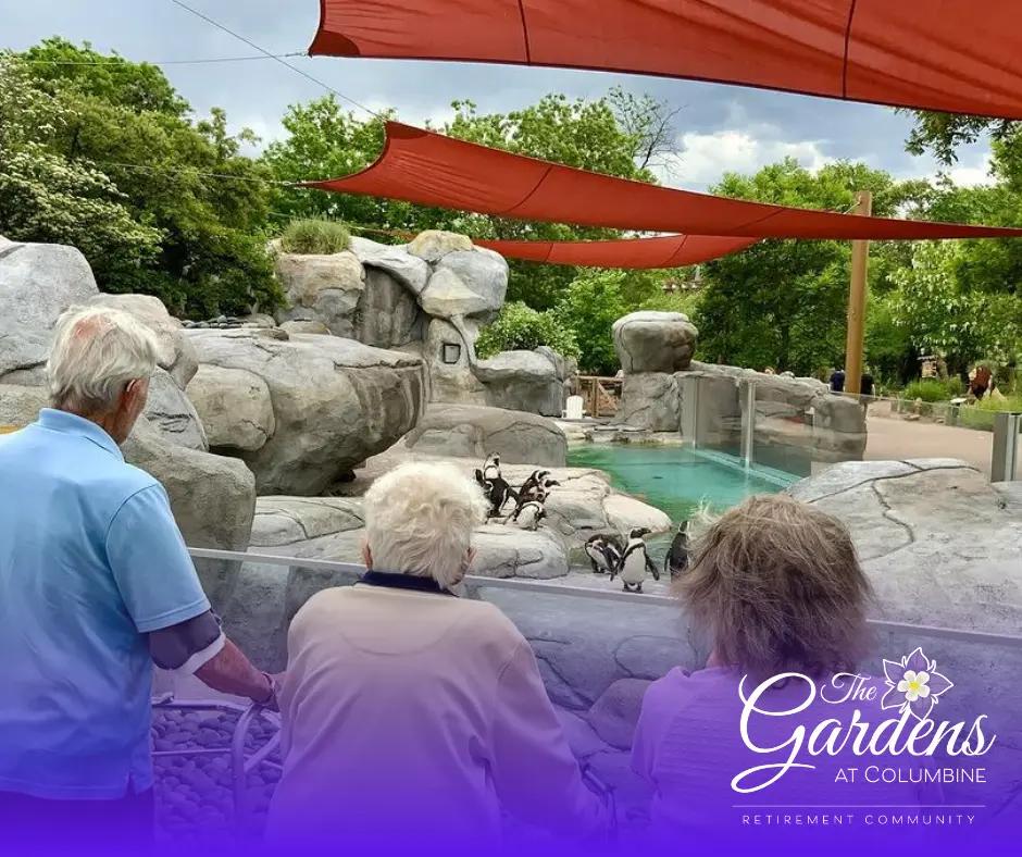 Lions and Tigers and Bears, Oh My! A Roaring Good Time at the Denver Zoo