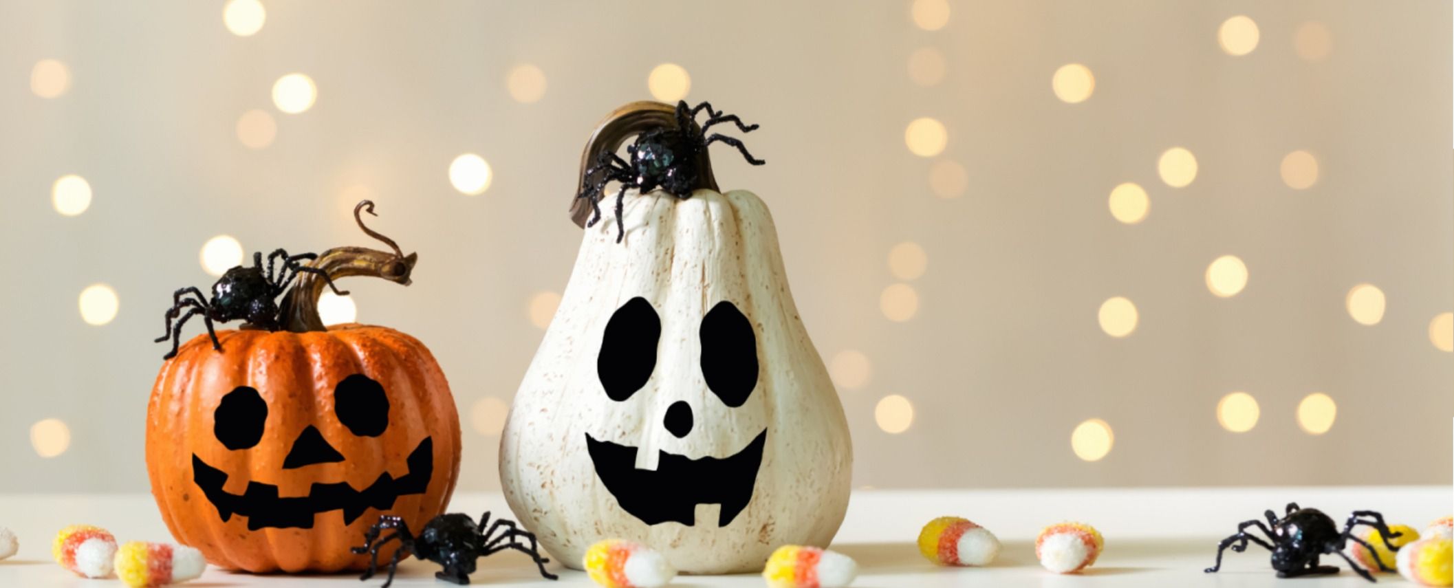 Decorated orange and white pumpkins with small black spiders.