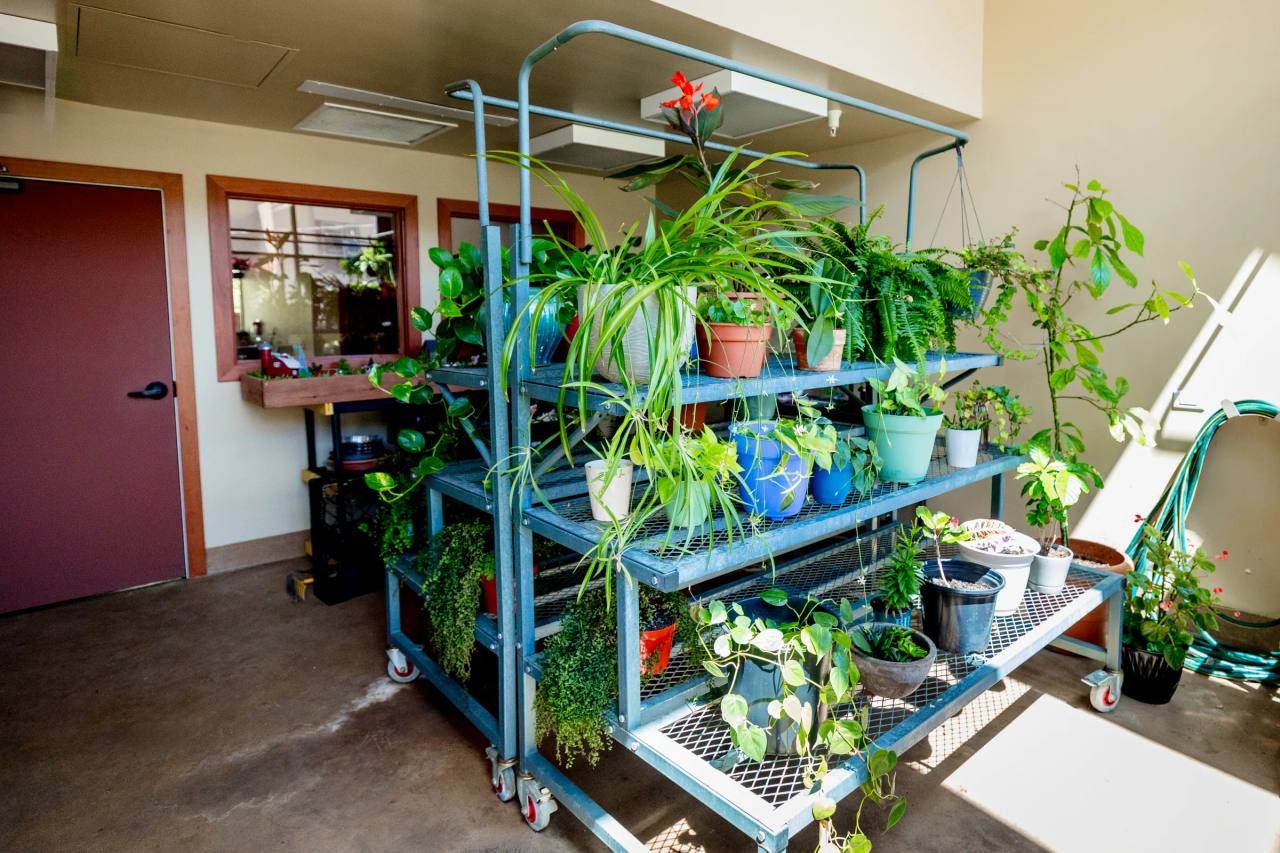 Gardens on Quail greenhouse plant cart filled with potted plants and greenery