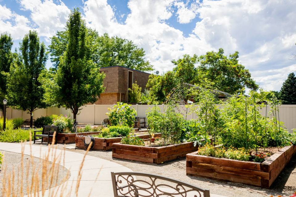 Gardens on Quail raised-bed garden with wooden bench and summer greenery
